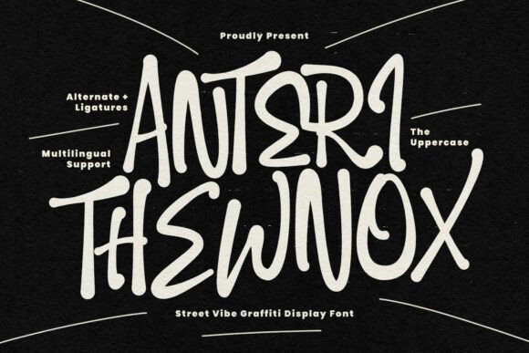Anteri Thewnox: Capturing the Raw Energy of Street Art