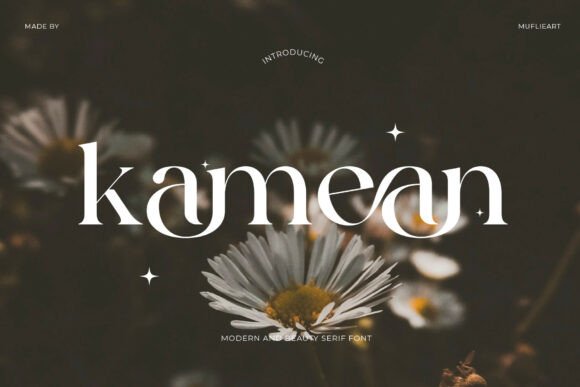 Capturing Organic Sophistication: The Kamean Serif Font